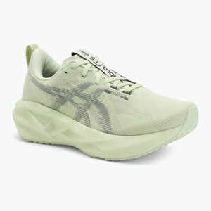 ASICS Novablast 5 női futócipő suttogó zöld/monument kék (Novablast 5 1012B765-301) kép