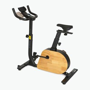 Elektromos kerékpár XTREXO EB400 black (EB400 TXO-B5J004-BK) kép