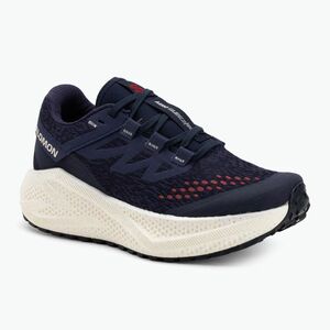 Női futócipő Salomon Aero Glide 3 Gravel astral aura/vanilla ice/haute red (Aero Glide 3 Gravel L47870600) kép