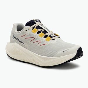 Női Salomon Aero Blaze 3 Gravel GTX futócipő vanilla ice/astral aura/lemon (Aero Blaze 3 Gravel GTX L47974100) kép