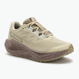 Női Salomon Aero Blaze 3 Gravel GTX futócipő green haze/iron/ice flow (Aero Blaze 3 Gravel GTX L47978400) kép