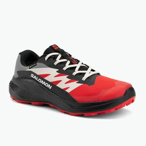 Férfi futócipő Salomon Alphaglide GTX flame scarlet/fekete/pewter (Alphaglide GTX L47975200) kép