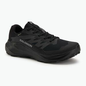 Férfi Salomon Alphaglide GTX futócipő fekete/aszfalt/fekete (Alphaglide GTX L47802100) kép