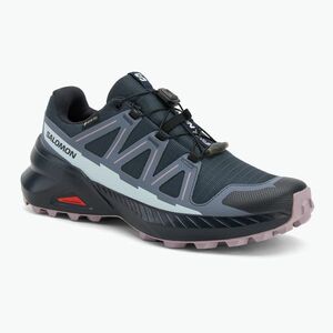 Női futócipő Salomon Speedcross Peak GTX kék éjszaka / grisaille / nirvana (Speedcross Peak GTX L47790700) kép