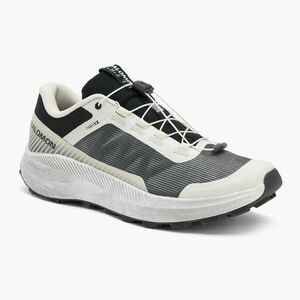 Salomon Vision férfi futócipő vanília ice/lunar/rock/fekete (Vision L47815900) kép
