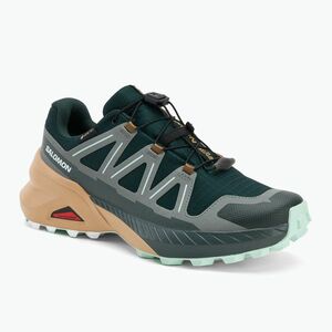 Női Salomon Speedcross Peak GTX futócipő scarab/soft clay/bay (Speedcross Peak GTX L47853200) kép