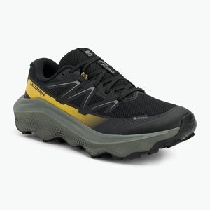 Férfi futócipő Salomon Ultra Flow 2 GTX fekete/sedona zsálya/incaberry (Ultra Flow 2 GTX L47883200) kép