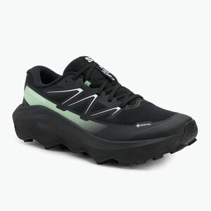 Férfi Salomon Ultra Flow 2 GTX futócipő fekete/fekete/patina zöld (Ultra Flow 2 GTX L47981400) kép