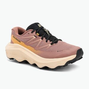 Női Salomon Ultra Flow 2 GTX futócipő burlwood/tender peach/warm apricot (Ultra Flow 2 GTX L47884500) kép