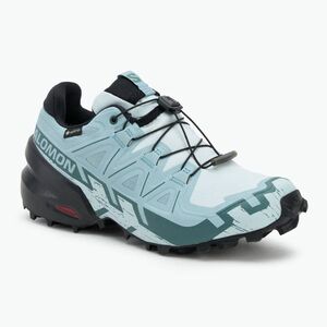 Női futócipő Salomon Speedcross 6 GTX ballad blue/fekete/turmalin (Speedcross 6 GTX L47880100) kép