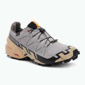 Férfi futócipő Salomon Speedcross 6 GTX gull/white pepper/black (Speedcross 6 GTX L47853400) kép