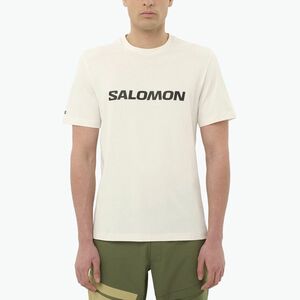 Férfi póló Salomon Logo whisper white (Logo LC2676400) kép