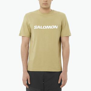 Férfi póló Salomon Logo szürke zöld (Logo LC2680600) kép