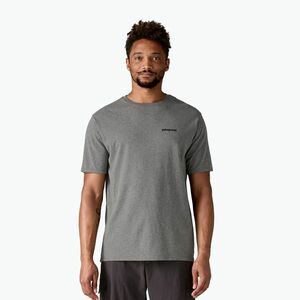 Patagonia férfi Fitz Roy Icon Responsibili-Tee gravel heather póló (Fitz Roy Icon Responsibili-Tee 37838) kép