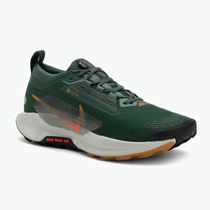 Férfi futócipő Nike Pegasus Trail 5 GORE-TEX fenyő/világos bíbor/agyag zöld (Pegasus Trail 5 GORE-TEX FQ0908-301) kép