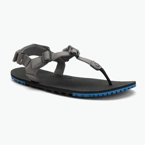 Férfi mezítlábas szandál Xero Shoes H-Trail acélszürke/kék/lolite (H-Trail HTM-SGIO) kép