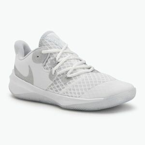 Nike Zoom Hyperspeed Court SE cipő smmit fehér/metál ezüst/tiszta platina (Zoom Hyperspeed Court SE DJ4476-102) kép