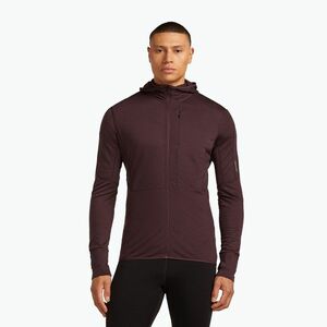 Férfi Icebreaker Merino 200 RealFleece Descender Zip Hoodie java trekking melegítőfelső (Merino 200 Realfleece Descender Zip Hoodie IBBA56VZ0GW1) kép