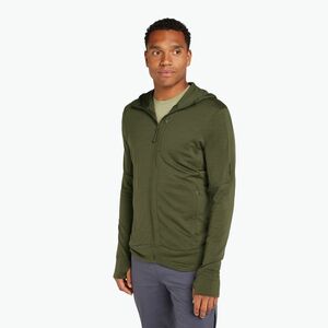 Férfi Icebreaker Merino 260 Quantum IV Zip kapucnis pulóver loden (Merino 260 Quantum IV Zip Hoodie IBBA56W20691) kép