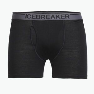 Férfi thermo boxeralsó Icebreaker Anatomica wFly black (Anatomica wFly IB1030300011) kép