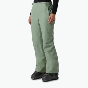Női sínadrág The North Face Descendit Regular slate moss (Descendit Regular NF0A8DDRBQ11) kép