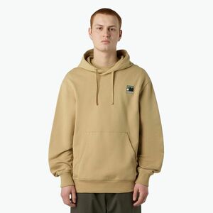 Férfi pulóver The North Face Mountain Logo Relaxed kapucnis khaki stone (Mountain Logo Relaxed Hooded NF0A8E3NLK51) kép