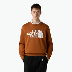 Férfi pulóver The North Face Easy Crew égett umbra színű pulóver (Easy Crew NF0A89FGBOE1) kép