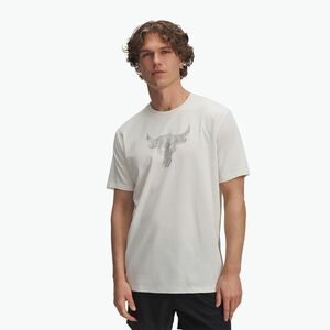 Férfi edzőpóló Under Armour Project Rock Payoff Graphic kőszín/fekete (Project Rock Payoff Graphic 1383191-279) kép