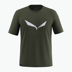 Férfi póló Salewa Solidlogo Dry dark olive (Solidlogo Dry 00-0000027018) kép