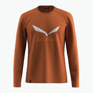 Férfi hosszú ujjú póló Salewa Solidlogo Dry bombay brown (Solidlogo Dry LS 00-0000027340) kép