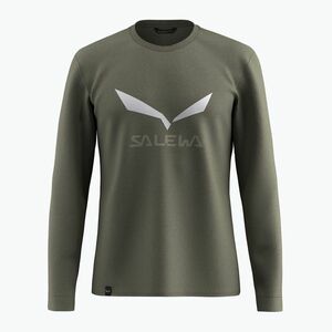 Férfi hosszú ujjú póló Salewa Solidlogo Dry faded green (Solidlogo Dry LS 00-0000027340) kép