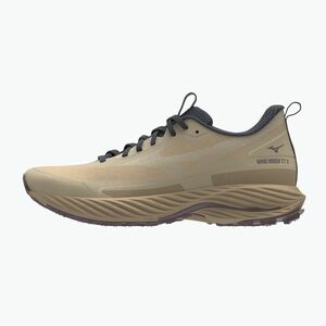 Női futócipő Mizuno Wave Rider TT 3 Curds & Whey/Summer Sand/Moonscape (Wave Rider TT 3 J1GD253272) kép