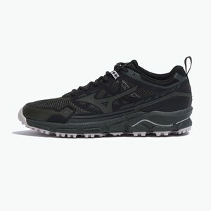 Cipők Mizuno Wave Daichi LS forest night/black/silver birch (Wave Daichi LS D1GA261003) kép