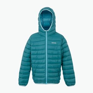 Gyerek dzseki REGATTA Hooded Marizion storm blue/nordic blue (Hooded Marizion RKN148) kép