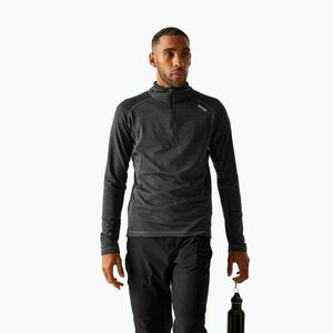 Férfi polárpulóver REGATTA Yonder II ash (Yonder II RMA606-61I) kép