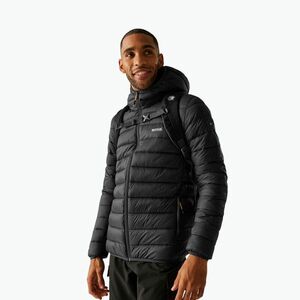 Férfi dzseki REGATTA Hooded Marizion ash/gold (Hooded Marizion RMN223) kép