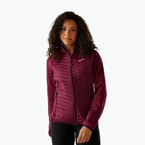 Női hibrid dzseki REGATTA Andreson Hybrid dark pimento (Andreson Hybrid RWN403) kép