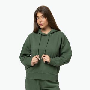 Női pulóver Pitbull Lovia Hooded sage green (Lovia Hooded 175051382002) kép