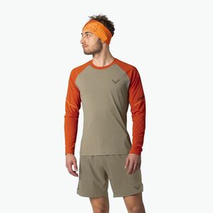 Férfi hosszú ujjú futópóló DYNAFIT Alpine Pro Alabama/5490i (Alpine Pro 08-0000071156) kép