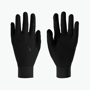 Sítúra kesztyűk DYNAFIT Blacklight Polartec Alpha black out (Blacklight Polartec Alpha 08-0000072018) kép