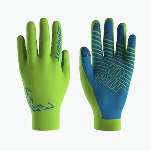 Kesztyűk DYNAFIT Upcycled Light pale frog (Upcycled Light 08-0000071852) kép