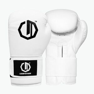 Boxkesztyűk Octagon Legion Kevlar white (Legion Kevlar 11982-PRB) kép