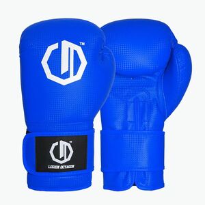 Boxkesztyűk Octagon Legion Kevlar blue (Legion Kevlar 11981-PRB) kép