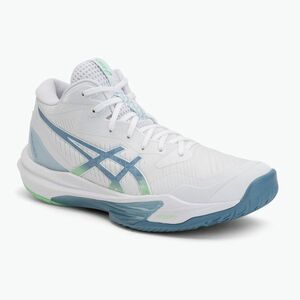Férfi cipők ASICS Sky Elite FF MT 3 white/saba blue (Sky Elite FF MT 3 1051A081-106) kép
