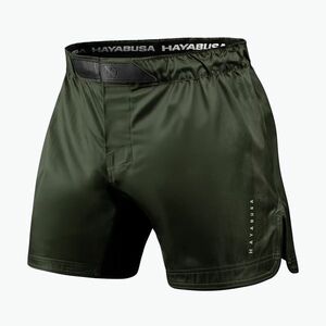 Férfi edzőshort Hayabusa Core Fight green (Core Fight CFS5-GR) kép
