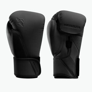 Bokszkesztyűk Hayabusa T360 Boxing black (T360 Boxing T360BG) kép