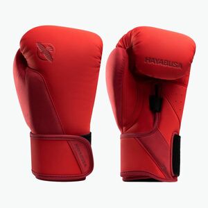 Bokszkesztyű Hayabusa T360 Boxing red (T360 Boxing T360BG) kép
