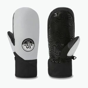 Férfi síkesztyű Dakine Crossfire Mitt griffin (Crossfire Mitt 10004431) kép