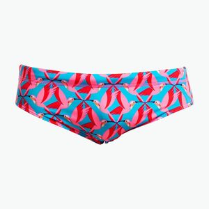 Férfi úszóalsók Funky Trunks Classic Brief hummy bummy (Classic Brief FTS035M7222430) kép