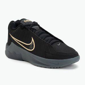 Férfi kosárlabdacipő Nike LeBron Witness 9 black/iron grey/dark smoke grey/black (LeBron Witness 9 HQ8034-003) kép